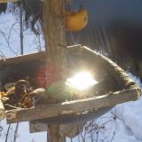 photo 2019-01-27 10-11-58