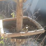 photo 2019-12-27 10-00-08