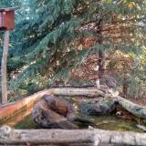 photo 2023-10-14 08-01-41