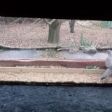 photo 2021-12-09 08-31-04