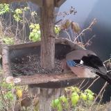 photo 2019-12-12 11-22-41