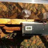 photo 2021-03-08 15-12-13