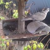 photo 2019-12-14 11-34-15