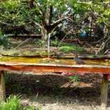 photo 2021-04-22 16-08-19