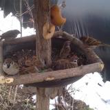 photo 2019-02-01 10-13-43