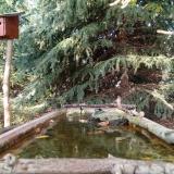 photo 2023-10-11 15-45-16