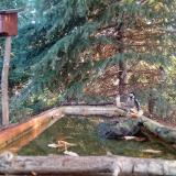 photo 2023-10-14 08-04-15