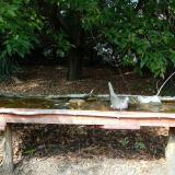 photo 2021-09-28 14-01-48