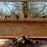 photo 2022-01-15 14-05-13