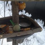 photo 2019-01-25 16-01-35