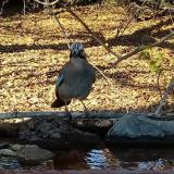 photo 2021-10-25 15-44-19 szajko