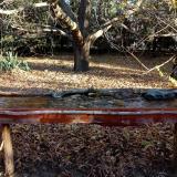 photo 2021-10-25 08-47-47