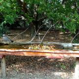 photo 2021-09-24 15-24-18