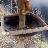 photo 2019-02-08 14-12-29