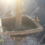 photo 2019-12-30 08-55-42