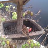 photo 2019-12-06 08-40-09