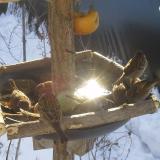 photo 2019-01-27 10-09-23