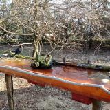 photo 2021-03-21 07-57-27