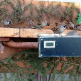 photo 2021-03-02 16-43-04