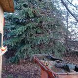 photo 2021-12-17 09-07-50