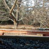 photo 2021-11-01 14-19-05