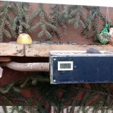 photo 2021-02-07 11-03-03