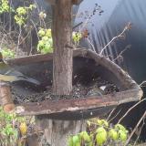 photo 2019-12-14 11-57-03