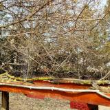 photo 2021-03-27 12-56-32