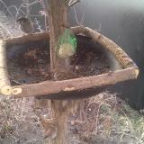 photo 2019-02-15 07-31-30