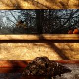 photo 2022-01-24 09-51-19