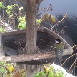 photo 2019-12-02 09-16-54