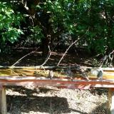 photo 2021-09-12 09-22-46