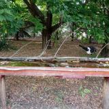 photo 2021-07-01 18-14-26