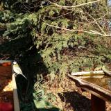 photo 2021-11-12 13-21-27