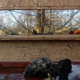 photo 2022-01-24 14-57-23