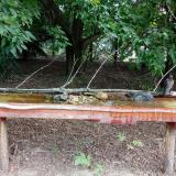 photo 2021-07-26 08-49-01