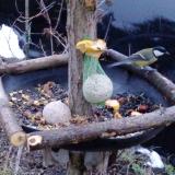 photo 2019-01-18 07-43-56