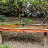 photo 2021-04-19 12-48-23