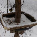 photo 2019-01-08 14-30-41