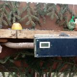 photo 2021-02-08 10-58-51