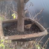 photo 2019-12-25 10-40-16