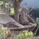 photo 2019-12-12 13-09-35