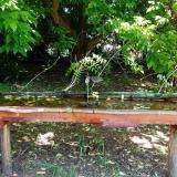 photo 2021-05-21 11-15-26