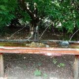 photo 2021-07-23 13-28-59