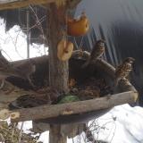 photo 2019-01-31 12-05-04