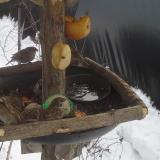 photo 2019-01-27 12-48-49