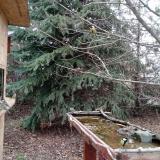 photo 2021-12-12 11-49-56