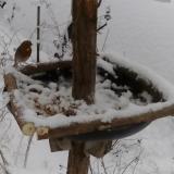 photo 2019-01-05 13-05-32