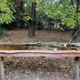 photo 2021-10-12 12-56-57