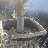 photo 2019-12-26 09-59-54